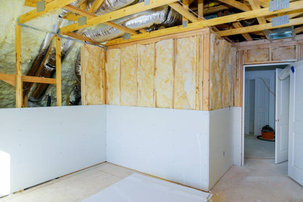 Types of Insulation We Offer in Coloma, MI