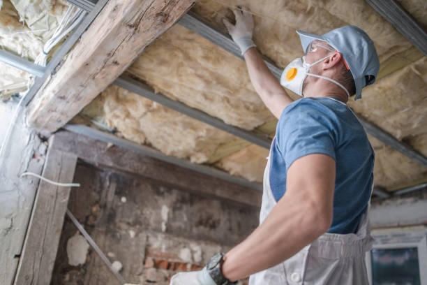 Best Fiberglass Insulation in Coloma, MI