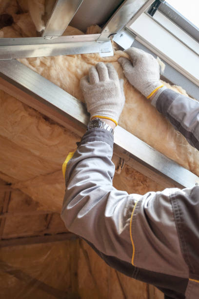 Best Specialized Insulation Services in Coloma, MI