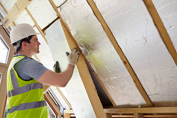 Best Geographic-Specific Insulation Services in Coloma, MI